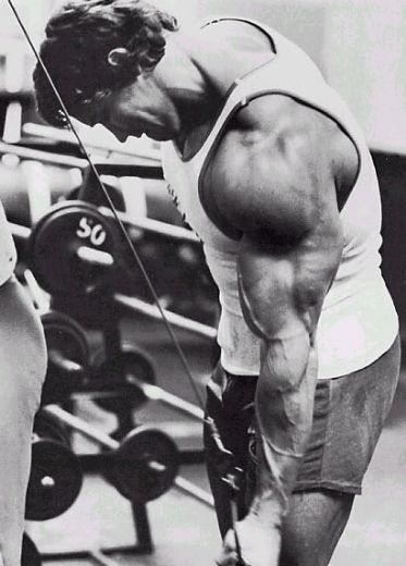 Arnold tríceps