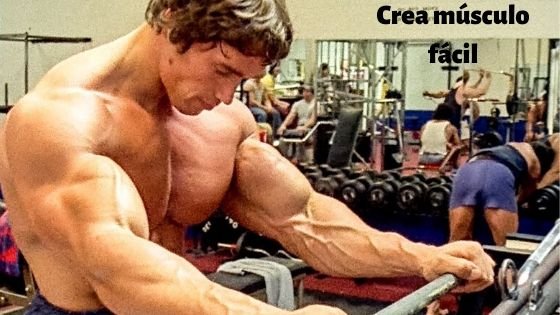 como Arnold, puedes aumentar tu masa muscular