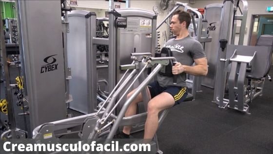 Acción muscular 