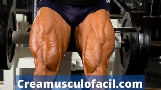 Puedes aumentar la masa muscular de tus piernas